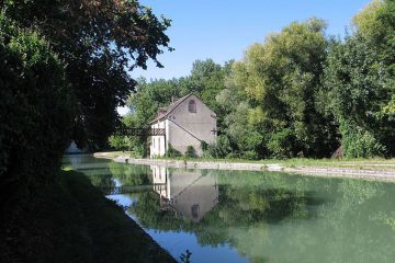 64-amill