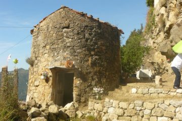 64-berre