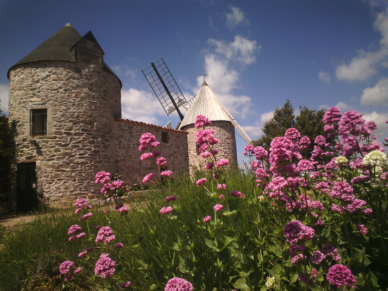 Moulins de Faugères - Photo Christopher White - Office de Tourisme Les Avant-Monts du Centre Hérault